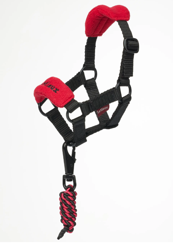 LeMieux Toy Pony Vogue Halter & Leadrope — photo 8