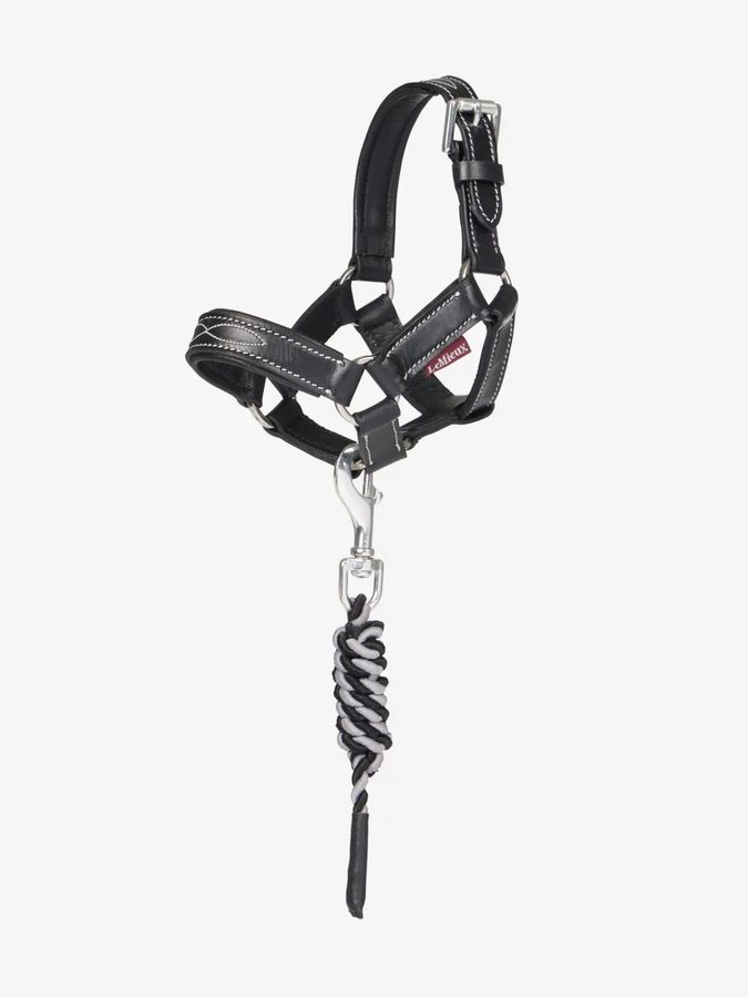 Toy Pony Leather Headcollar & Leadrope