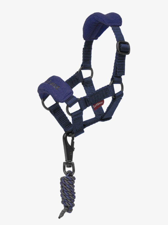 LeMieux Toy Pony Vogue Halter & Leadrope — photo 9